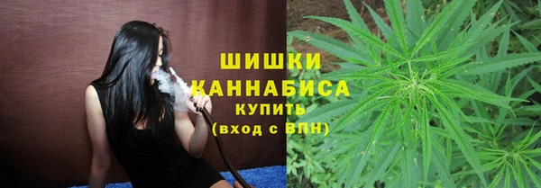 сатива Алексин