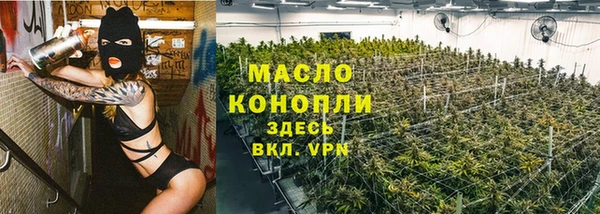 гидра Гусь-Хрустальный