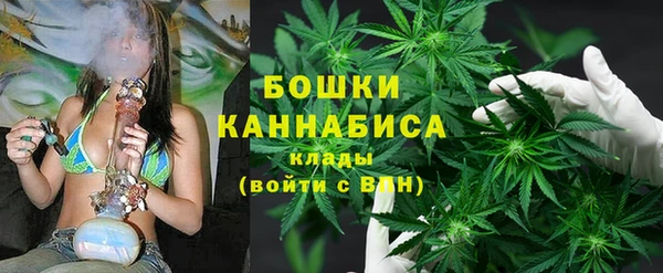 дживик Гусев