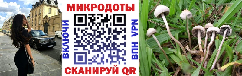 Галлюциногенные грибы Psilocybe  Шумиха 